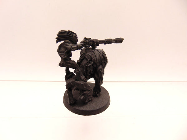 Krootox Rider