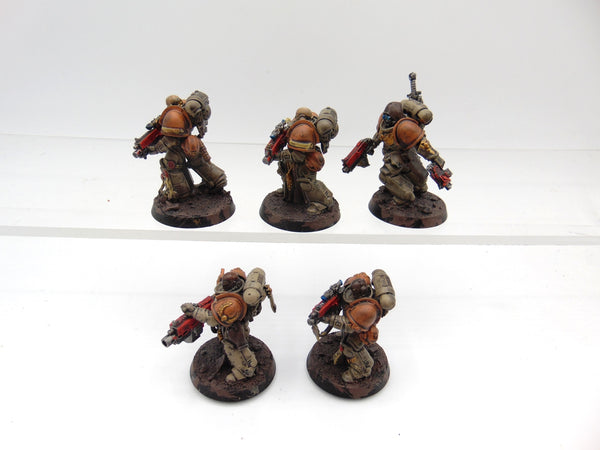 Sternguard Veterans