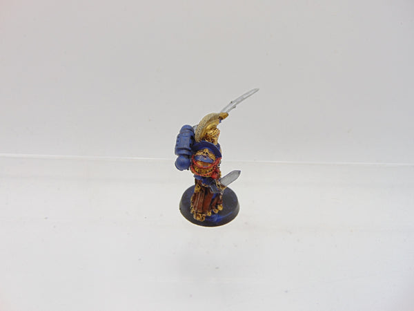 Ultramarines Honour Guard Chapter Champion