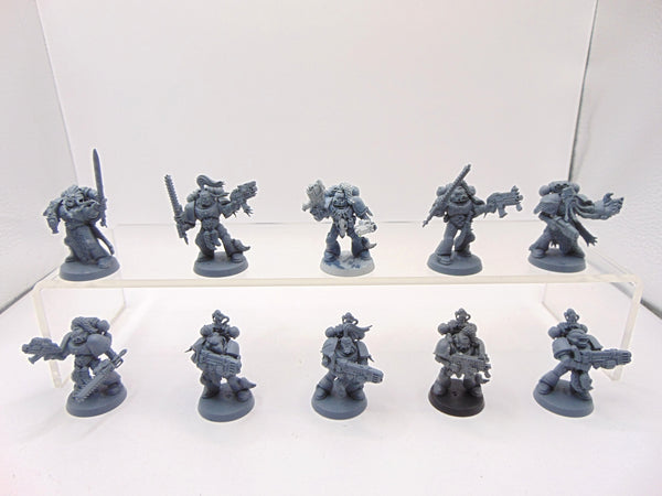 Wolf Guard