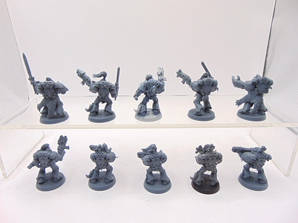 Wolf Guard