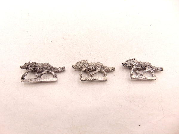 Wolf /  Wolves
