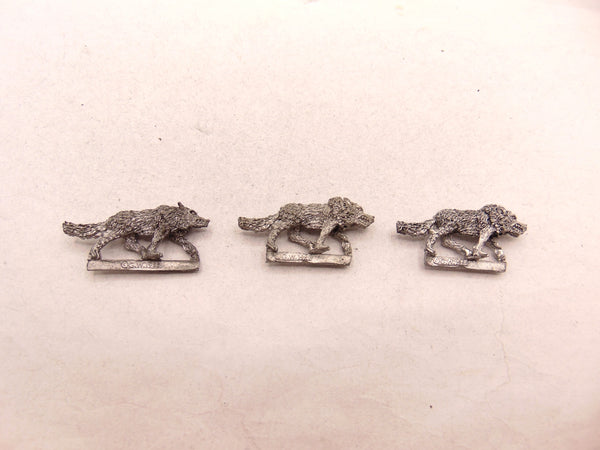 Wolf /  Wolves