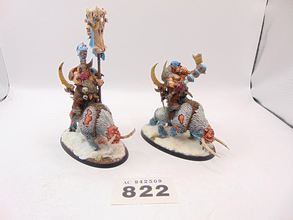 Mournfang Cavalry Pack