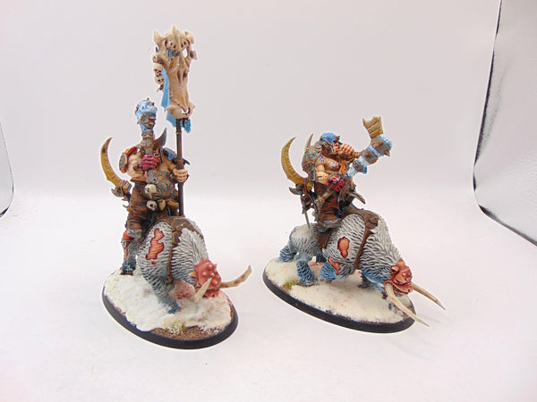 Mournfang Cavalry Pack
