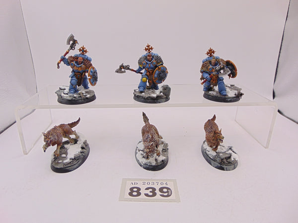 Wolf Guard Headtakers