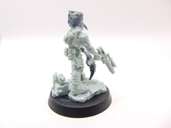 Primus Conversion