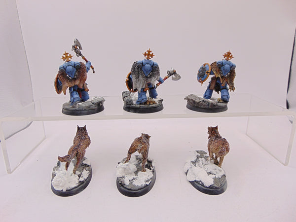 Wolf Guard Headtakers