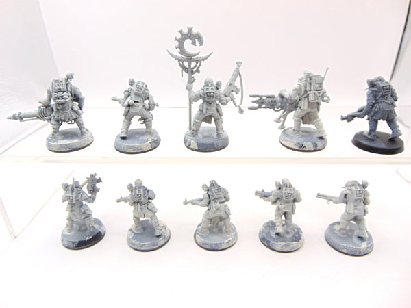Neophyte Hybrids