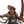Officio Prefectus Commissar