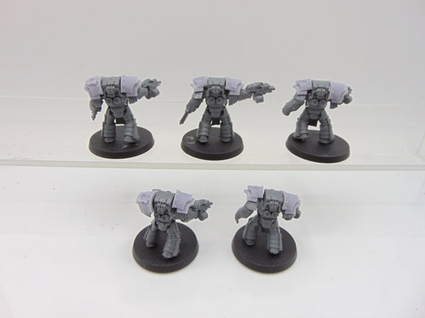 Cataphractii Terminator Squad