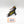 Vyper