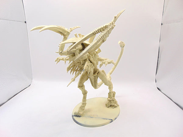 Dimachaeron