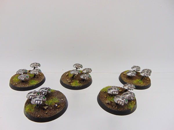 Canoptek Scarab Swarms