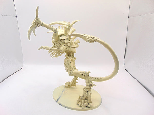 Dimachaeron