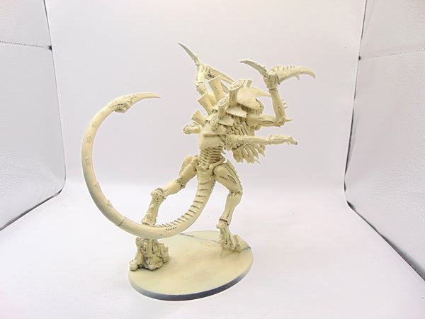 Dimachaeron