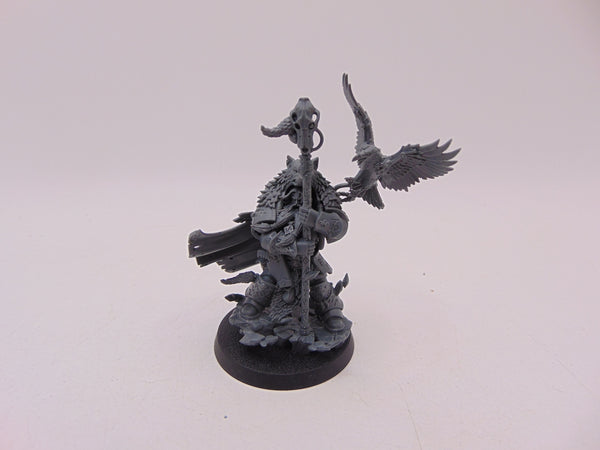 Njal Stormcaller
