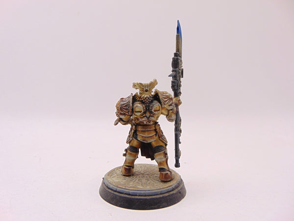 Shield Captain Valerian