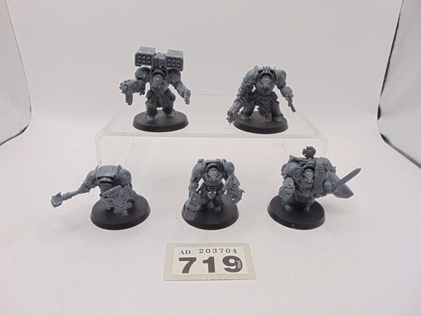 Wolf Guard Terminators