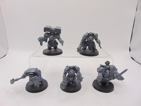 Wolf Guard Terminators