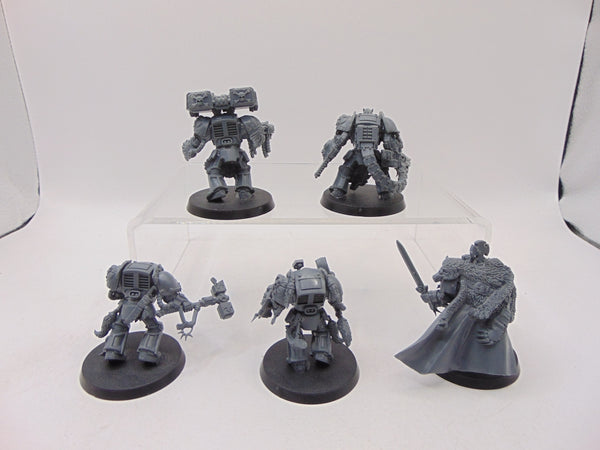 Wolf Guard Terminators