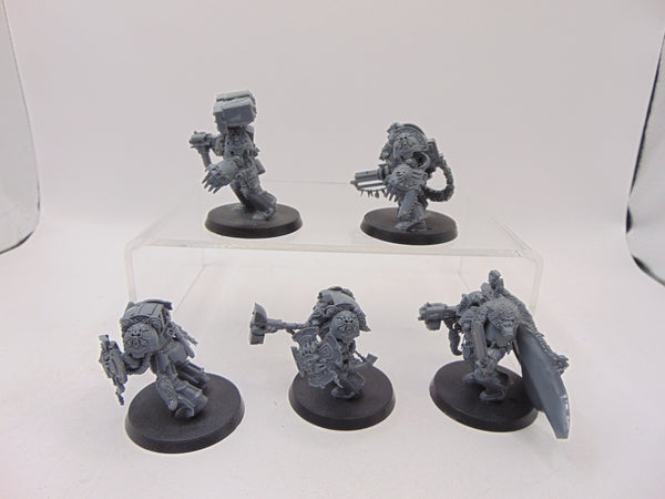 Wolf Guard Terminators