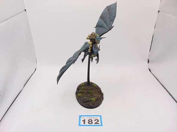 Stormdrake Guard