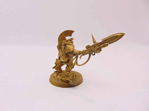 Shield Captain