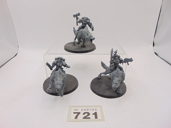 Thunderwolf Cavalry