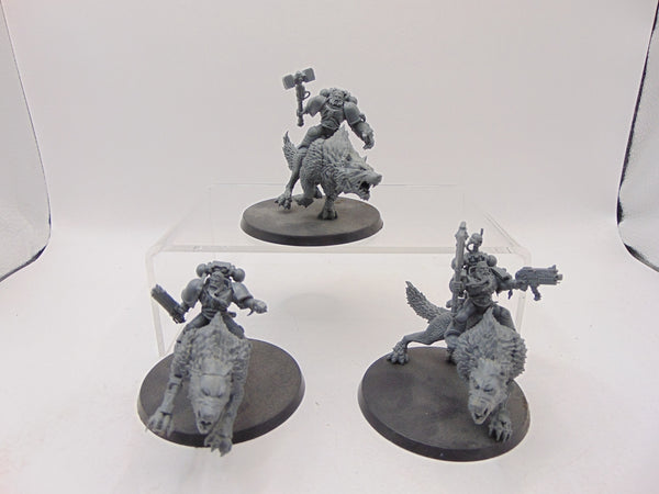 Thunderwolf Cavalry