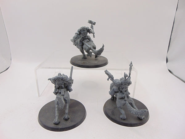 Thunderwolf Cavalry