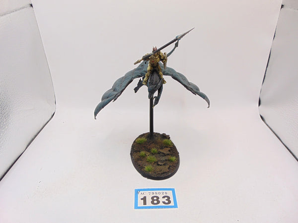 Stormdrake Guard