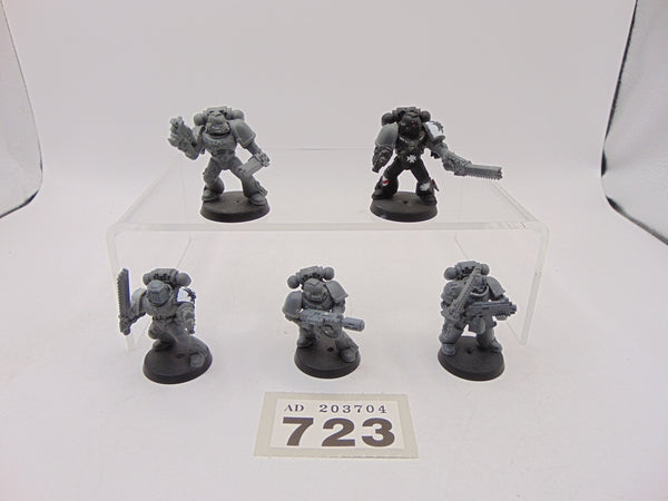 Assault Squad