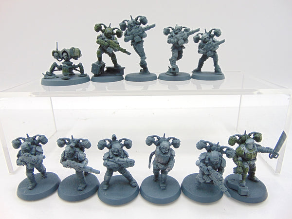 Tempestus Aquilons