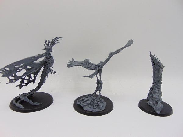 Endless Spells: Ossiarch Bonereapers