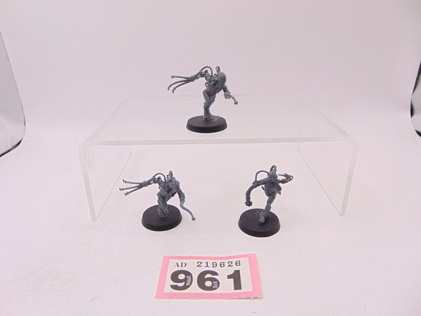 Arco Flagellants