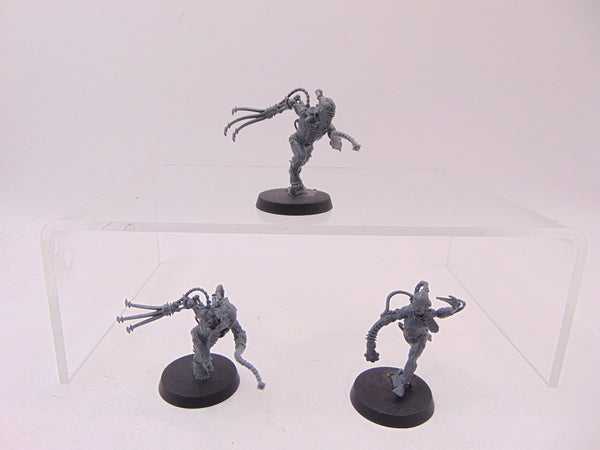Arco Flagellants