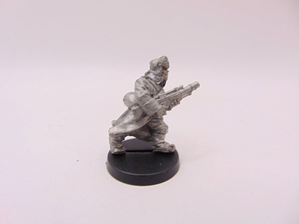 Valhallan Ice Warriors Troopers