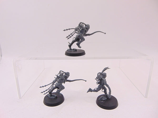 Arco Flagellants