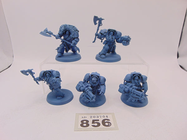 Wolf Guard Terminators