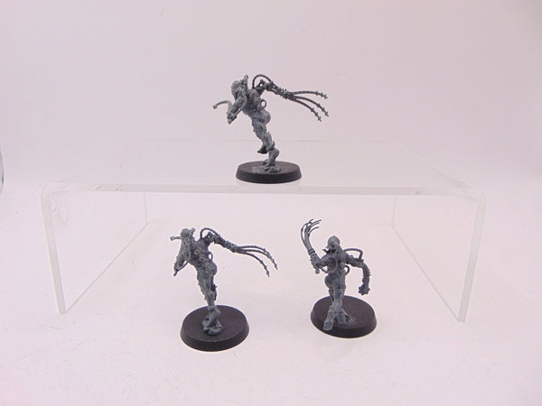 Arco Flagellants