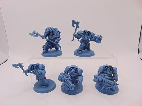 Wolf Guard Terminators