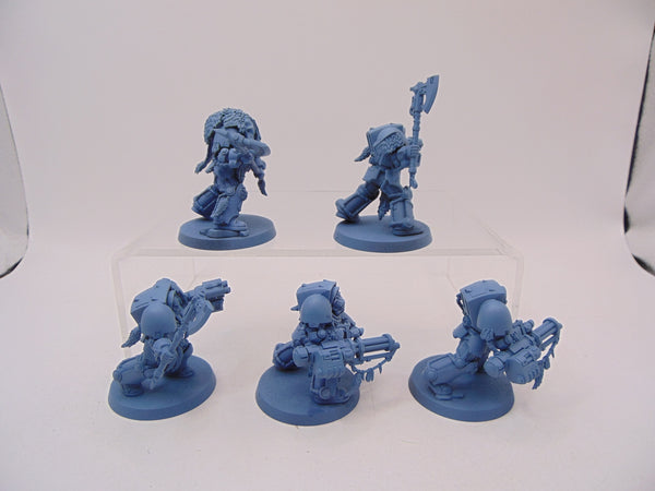 Wolf Guard Terminators