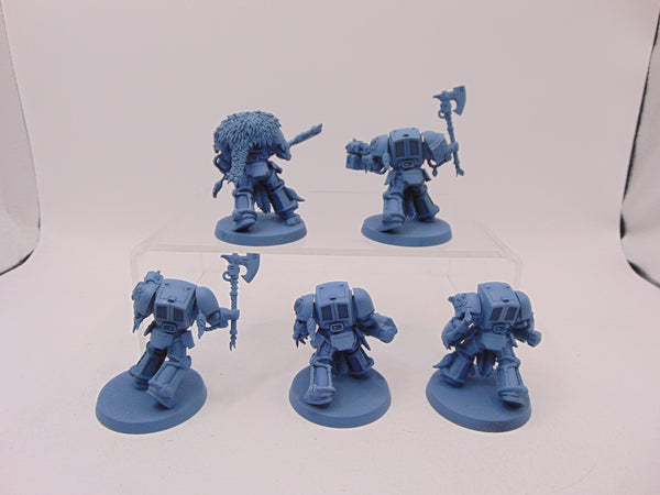 Wolf Guard Terminators