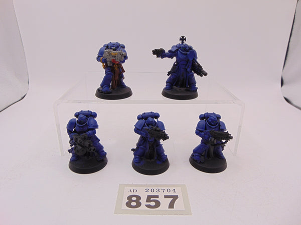 Sternguard Veterans