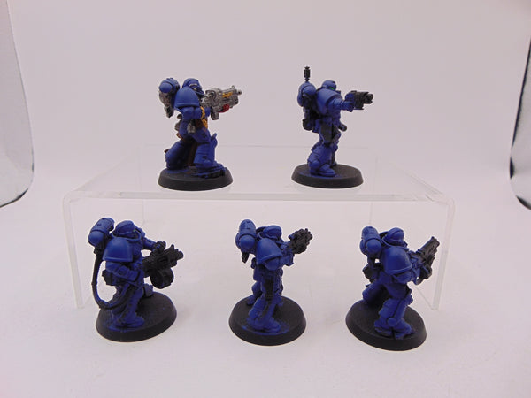 Sternguard Veterans