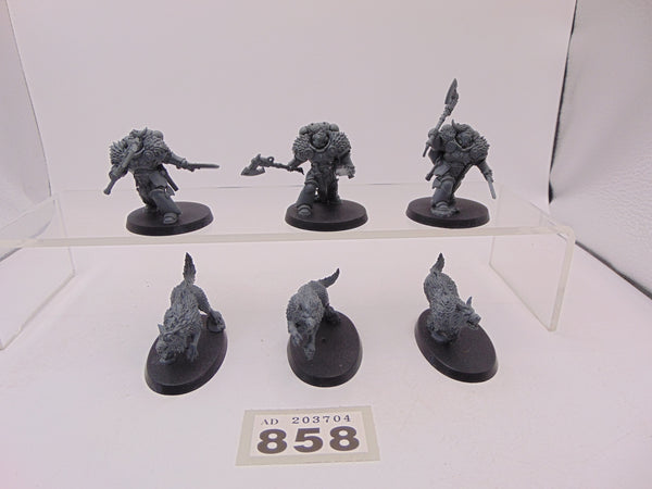 Wolf Guard Headtakers