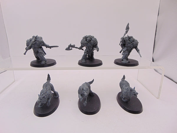 Wolf Guard Headtakers