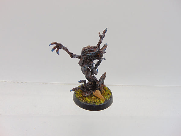Branchwraith Drycha