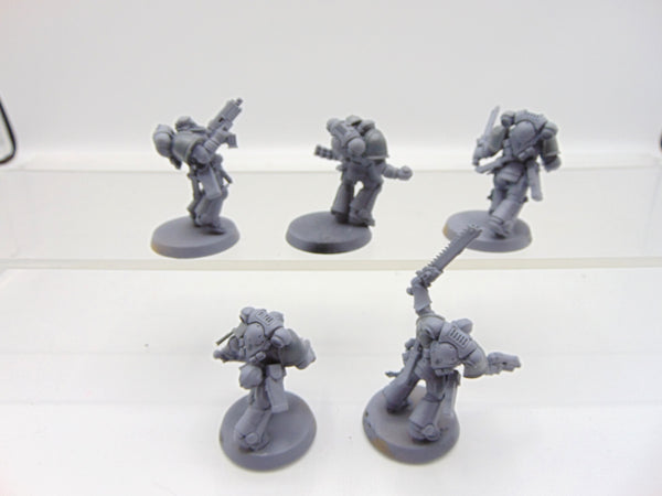 Assault Intercessors